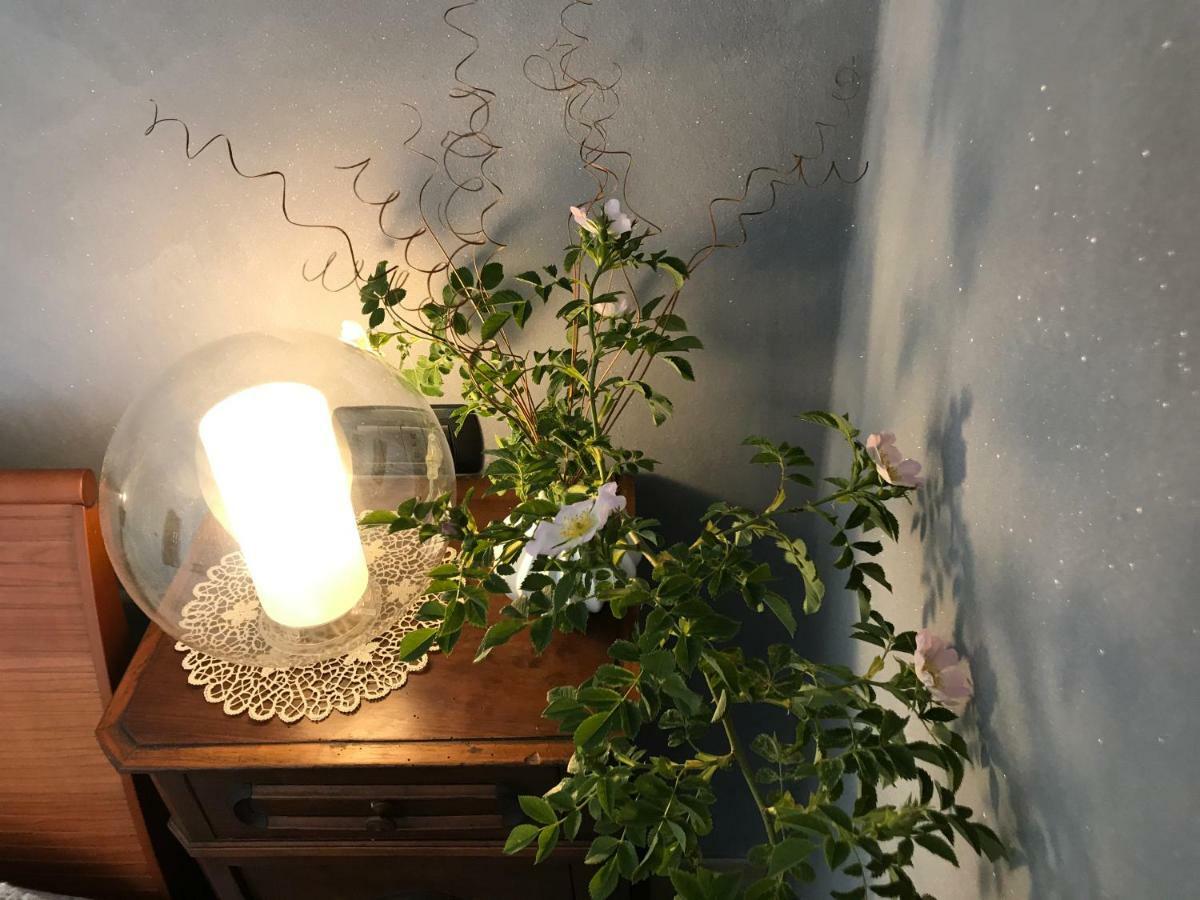 Appartement Il Gerlo à Lezzeno Extérieur photo